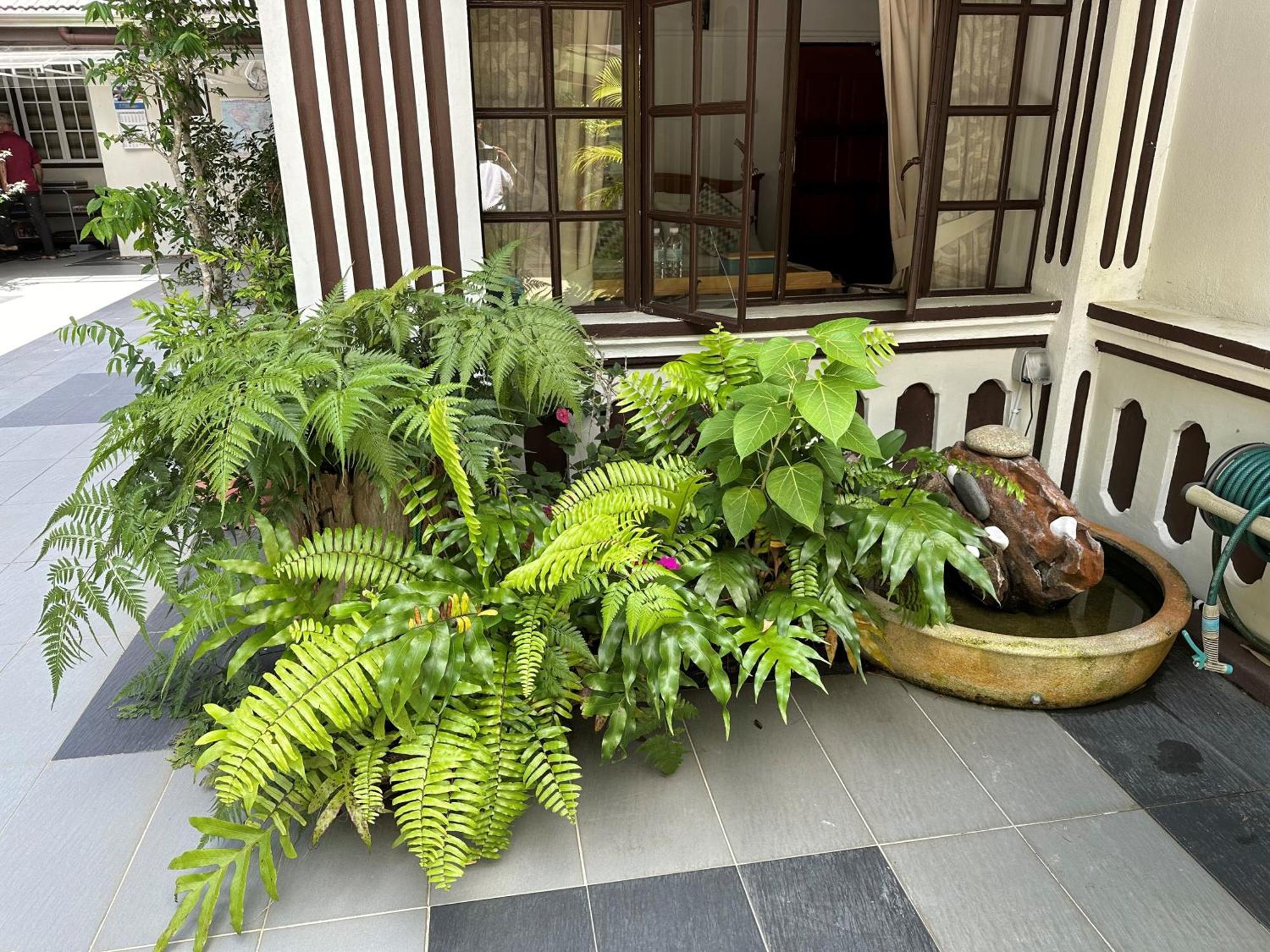 Hickory Penang Hill Hotel Ayer Itam Eksteriør billede